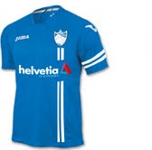 Camiseta oficial